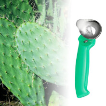 Cuillère à éplucher les cactus, éplucheur de cactus multifonctionnel à long manche, idéal pour la cuisine (16 x 6 cm).