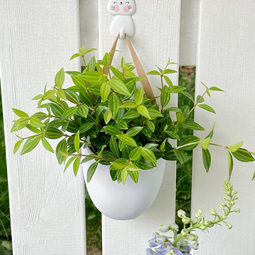 Vase hydroponique créatif, blanc, design mural, 11*9,5*23cm. 1