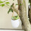Vase hydroponique créatif, blanc, design mural, 11*9,5*23cm. 4