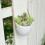 Vase hydroponique créatif, blanc, design mural, 11*9,5*23cm. 5