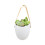 Vase hydroponique créatif, blanc, design mural, 11*9,5*23cm. 6
