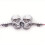 Φλας μοτοσικλέτας LED με σχέδιο κρανίου 12V Universal Fit Ανθεκτικό IP67 Αδιάβροχο Υψηλή 2