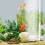 Aquarium Oxygenation Disk Bubble Disk for Small to Large Fish Tanks Accessory Efficient Oxygenation Aquarium 6