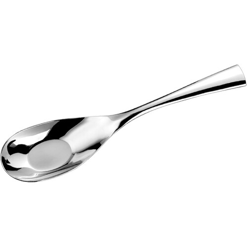 Cuillère de service en acier inoxydable 316L, 25 cm