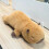 Capybara-Plüschtier – Weiches Stofftier, 48 cm oder 68 cm 5