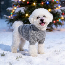 Pull thermique en maille pour chien de petite et moyenne taille – Manteau d'hiver chaud et doux pour Chihuahua, Carlin, Teckel, Bouledogue, Chat