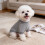 Thermal Knitted Dog Pullover Sweater Grey Small Medium 3