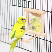 Specchio in legno per uccelli con posatoio giocattolo per uccelli di piccola e media taglia.