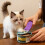 Cat-Shaped Can Opener for Home and Kitchen Use 4