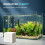 Akvariumfilterputer fargeabsorberende 300 stk 8