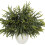 18 crengi artificiale de pin Norfolk, 45 cm 1