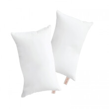 Tiny Pillows, 2 Pack Microfiber Soft Small Pillows Machine Washable Travel Pillows 11 X 7 Inches, White