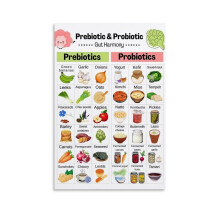Prebiotic And Probiotic Food Chart Poster Gut Microbiome Food List Guide Kitchen Canvas Painting for Living Room Bedroom Decor