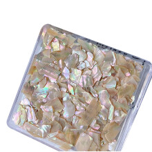 Fette irregolari di conchiglia di abalone, 6 colori, scaglie naturali per nail art, decorazioni colorate per manicure