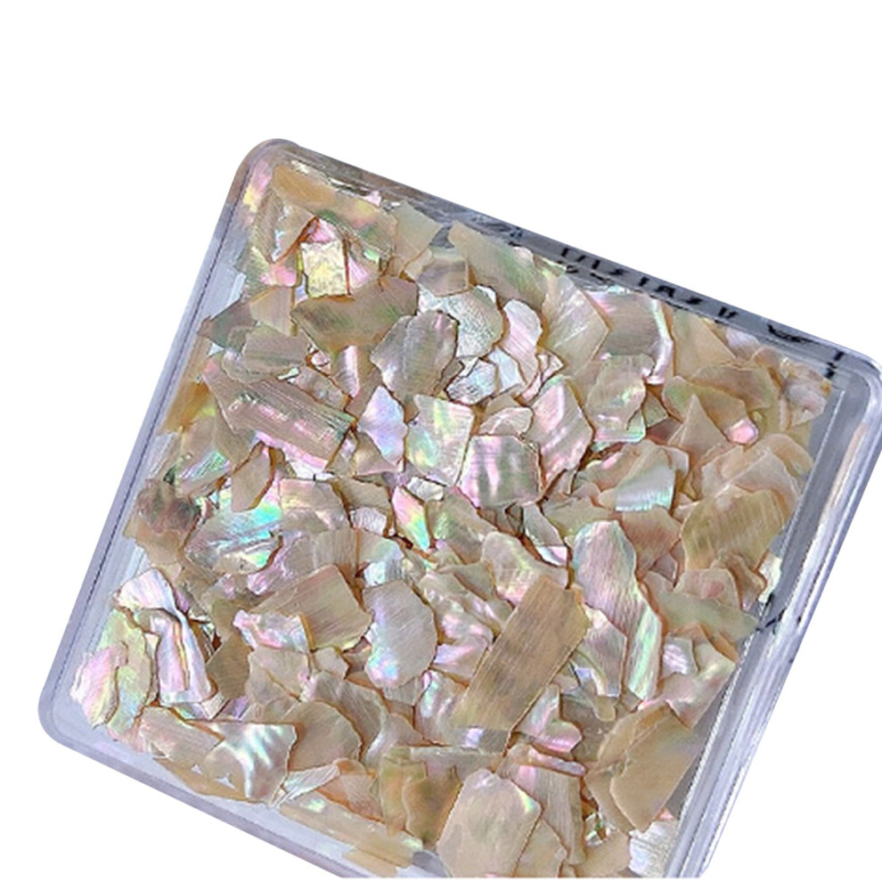 Irregular Abalone Shell Slices for Nails & Crafts