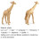 Name 5