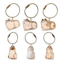 Transparent Cat Hair Storage Keychain, Pet Memorial Gift Pendant Bottle, Pet Memorial Accessories for Cat Lovers