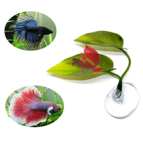 2X Beta Fish Hammock Plant Leaf Mat Fish Spreading Breeding Resting Bed 2