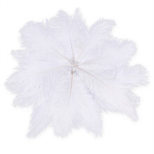 20 x natural ostrich feather 25-30cm white decoration festivities