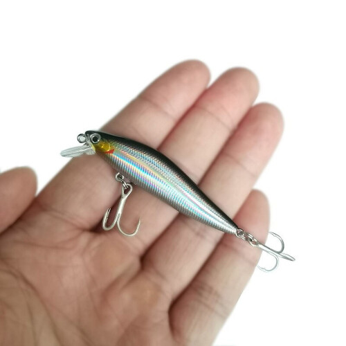 2 τεμάχια τεχνητό δόλωμα ψαρέματος Minnow 4.3g από πλαστικό με μαγνητικά τρισδιάστατα 1