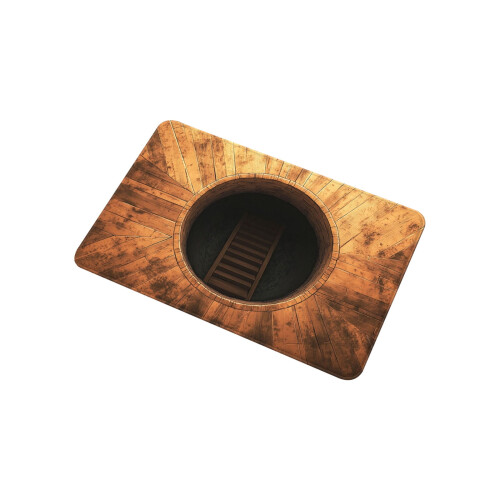 Optische illusie deurmat rechthoekig 60x40cm 1