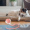 Interactive Cat Ball Toy with Elastic Tail and Sound 3