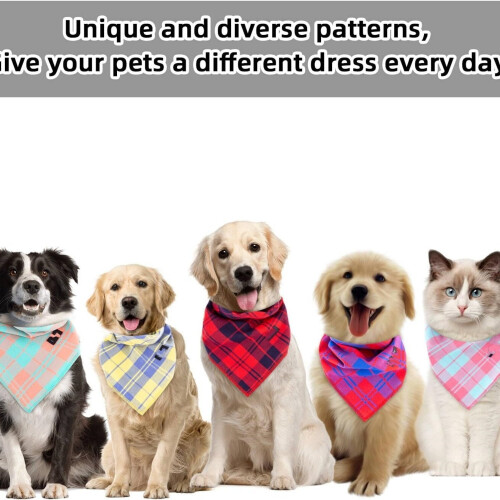 Μπαντάνα για σκύλους Spring Dog Large-Scarf για σκύλους με ζωηρά χρώματα, καρό εκτύπωση, 2