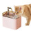 Automatisk vanndispenser med filter for katter og hunder 2
