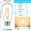 Λαμπτήρες Edison Θερμό Λευκό 2700K6W ST58E26 Διαφανείς Συσκευασία των 6 2