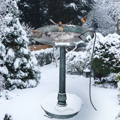 Pekkaxy vogelbadverwarming 60W met thermostaat (1 stuk) 1