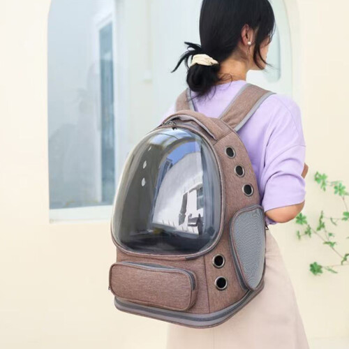 Clear Kitten Backpacks With Ergonomic Shoulder Strap-Seablue 1