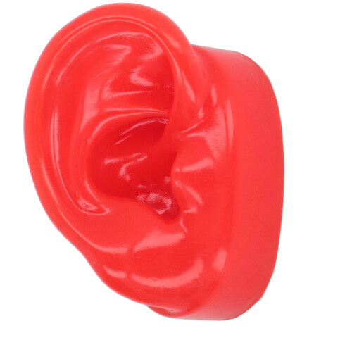 Modèle d’oreille en silicone — support d’exposition pour piercing de l’oreille droite