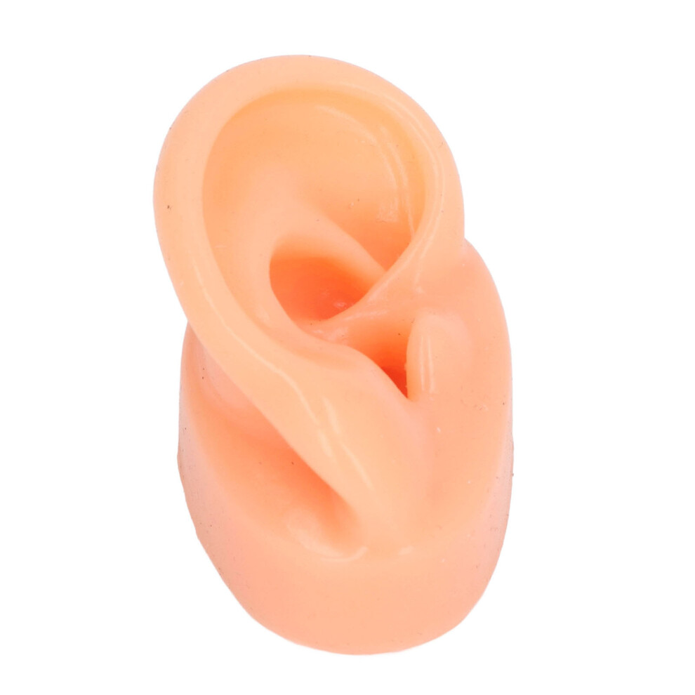 Black Silicone Ear Model Soft Simulation Hearing Aid Display Flesh Color With Stand