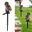 Decorative Owl Solar Light for Pathways 1