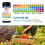 Universal * Test Strips, Full Range 0-14, Quickly * Testing 5
