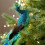 Künstlicher Vogel-Weihnachtsschmuck mit Clip-Set 8
