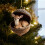 Conjunto de 4 enfeites de Natal em acrílico com animais da floresta. 1
