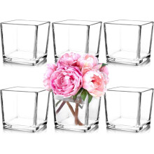 Set of 6 Square Glass Vases 5 x5 x 5 Clear Flower Vases for Centerpieces Candle Holder for Wedding Party Events Home Decor
