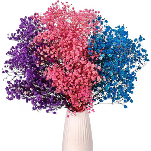 Μωβ-Ροζ-Μπλε Αποξηραμένα Λουλούδια Baby's Breath, 17", 3000+ Μίσχοι, Φυσικά Κλαδάκια