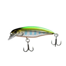 2pc Model Hot Sinking Fishing Lure Workout 52mm 4.5g Jerk bait Bass