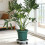 Support pivotant pour pots avec roulettes D30cm 5