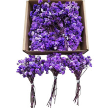 120 Pcs Mini Dried Baby Breath Flowers (Ivory & Purple) for Vase, Wedding, Home, Party, Craft, Wreath, DIY Decor – Compatible with Floral