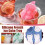 Bulldog-Shaped Silicone Ice Cube Tray 5