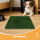 2Pièces Pour Animaux Artificielle Absorbante Vert 6