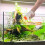 Manual Fish Tank Feeder Feeding Bottle 6