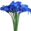 Blue Calla Lily Artificial Bouquet – 12 pcs, 35 cm 1