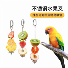 Brochette porte-nourriture en acier inoxydable pour petits oiseaux (1)