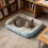 Orthopedic Pet Bed Plush Medium 50x40 cm 4