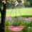Solar Bird Bath Fountain for Garden or Balcony 4