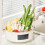 2-in-1 Fruit & Vegetable Kitchen Colander Set, Large Plastic, Double Layer 12